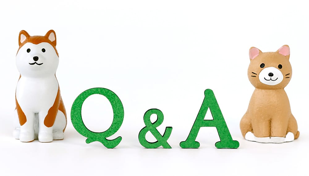 Q&A