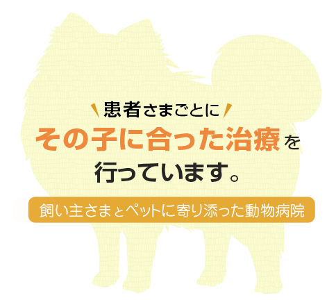 患者さまごとにその子にあった治療を行っています。